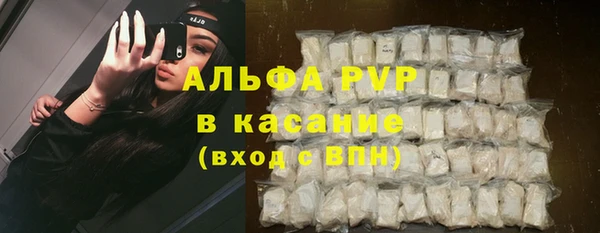 прущие крисы Покачи