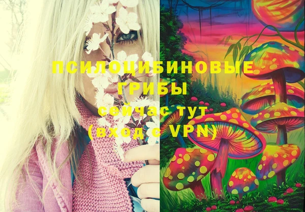прущие крисы Покачи