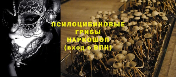 прущие крисы Покачи
