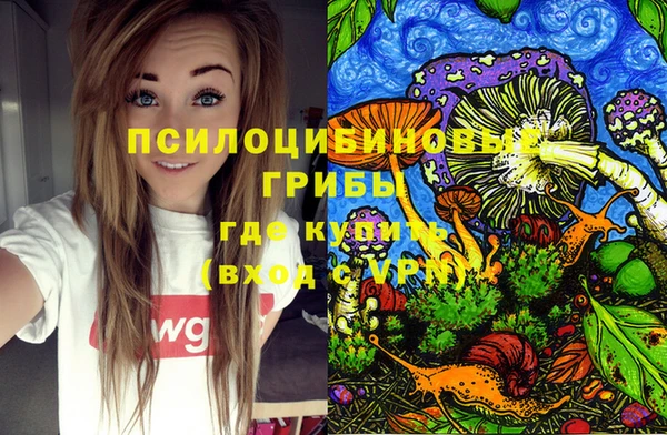 амф Покров