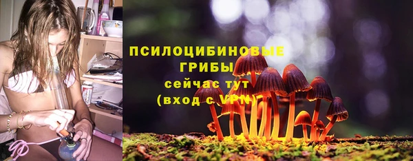 амф Покров